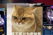 深秋铭文出装攻略（最适合深秋季节的铭文搭配和出装选择）