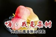 揭秘江南百景图金丝灯笼韶箫玉如意攻略（游戏攻略详解，让您尽享华美江南）