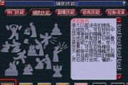 《梦幻西游天珠出装攻略大全》（天珠装备选择与搭配技巧，助你成为顶尖玩家）